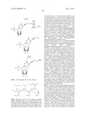 NUCLEOTIDE ANALOGS diagram and image