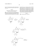 NUCLEOTIDE ANALOGS diagram and image