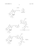 NUCLEOTIDE ANALOGS diagram and image