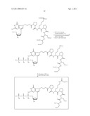 NUCLEOTIDE ANALOGS diagram and image