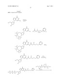 NUCLEOTIDE ANALOGS diagram and image