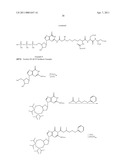 NUCLEOTIDE ANALOGS diagram and image