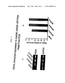 FREE NGAL AS A BIOMARKER FOR CANCER diagram and image