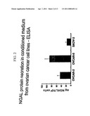 FREE NGAL AS A BIOMARKER FOR CANCER diagram and image