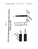 FREE NGAL AS A BIOMARKER FOR CANCER diagram and image