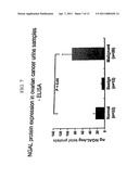 FREE NGAL AS A BIOMARKER FOR CANCER diagram and image