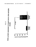 FREE NGAL AS A BIOMARKER FOR CANCER diagram and image