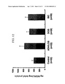 FREE NGAL AS A BIOMARKER FOR CANCER diagram and image