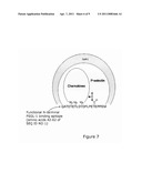 ANTI-PSGL-1 INHIBITORS AND SCREENING METHODS diagram and image