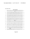 ANTI-PSGL-1 INHIBITORS AND SCREENING METHODS diagram and image