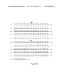 ANTI-PSGL-1 INHIBITORS AND SCREENING METHODS diagram and image