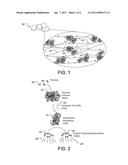 Diagnostic Gum for Screening Diabetes diagram and image