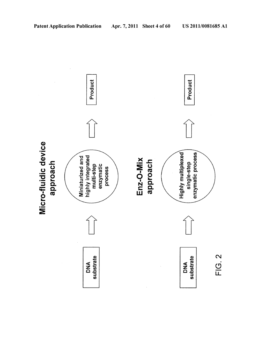 COMPOSITIONS AND METHODS FOR PROCESSING AND AMPLIFICATION OF DNA, INCLUDING USING MULTIPLE ENZYMES IN A SINGLE REACTION - diagram, schematic, and image 05