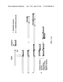 COMPOSITIONS AND METHODS FOR PROCESSING AND AMPLIFICATION OF DNA, INCLUDING USING MULTIPLE ENZYMES IN A SINGLE REACTION diagram and image