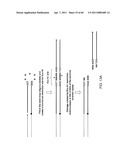 COMPOSITIONS AND METHODS FOR PROCESSING AND AMPLIFICATION OF DNA, INCLUDING USING MULTIPLE ENZYMES IN A SINGLE REACTION diagram and image