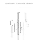 COMPOSITIONS AND METHODS FOR PROCESSING AND AMPLIFICATION OF DNA, INCLUDING USING MULTIPLE ENZYMES IN A SINGLE REACTION diagram and image