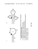 COMPOSITIONS AND METHODS FOR PROCESSING AND AMPLIFICATION OF DNA, INCLUDING USING MULTIPLE ENZYMES IN A SINGLE REACTION diagram and image