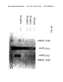 COMPOSITIONS AND METHODS FOR PROCESSING AND AMPLIFICATION OF DNA, INCLUDING USING MULTIPLE ENZYMES IN A SINGLE REACTION diagram and image