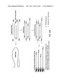 COMPOSITIONS AND METHODS FOR PROCESSING AND AMPLIFICATION OF DNA, INCLUDING USING MULTIPLE ENZYMES IN A SINGLE REACTION diagram and image