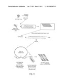 Enrichment Through Heteroduplexed Molecules diagram and image