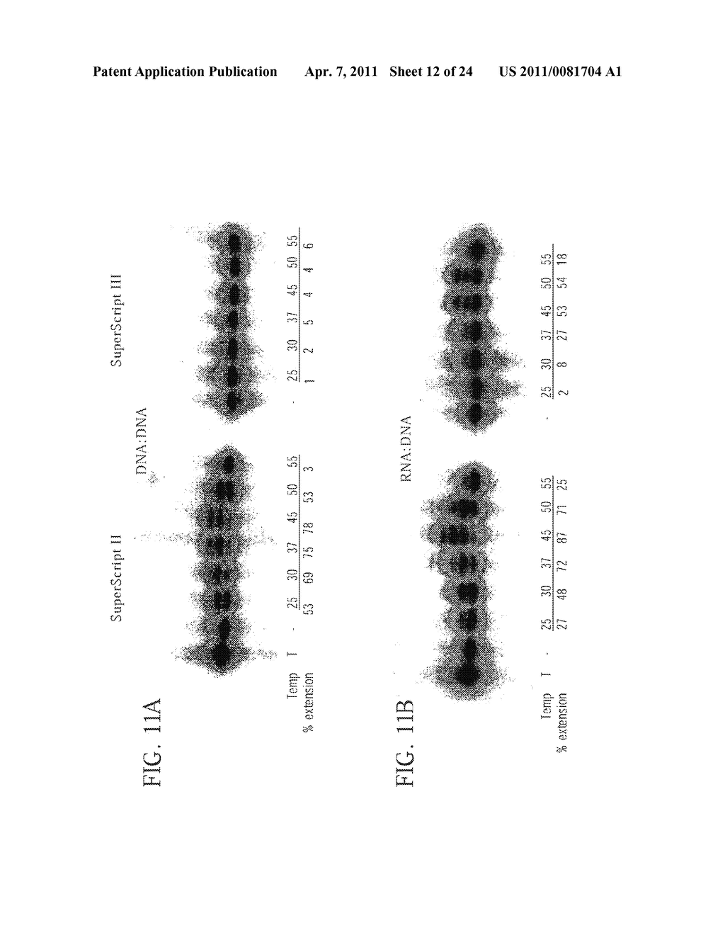 THERMOSTABLE REVERSE TRANSCRIPTASES AND USES THEREOF - diagram, schematic, and image 13