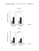 DOUBLE-STRANDED NUCLEIC ACID MOLECULE, CANCER CELL PROLIFERATION INHIBITOR AND PHARMACEUTICAL AGENT SUITABLE FOR PREVENTION OR TREATMENT OF CANCER diagram and image