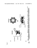 Modified Cpn10 and PRR signalling diagram and image