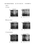 Modified Cpn10 and PRR signalling diagram and image