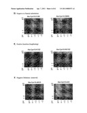 Modified Cpn10 and PRR signalling diagram and image