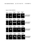 Modified Cpn10 and PRR signalling diagram and image