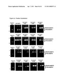 Modified Cpn10 and PRR signalling diagram and image