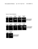 Modified Cpn10 and PRR signalling diagram and image