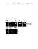 Modified Cpn10 and PRR signalling diagram and image