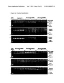 Modified Cpn10 and PRR signalling diagram and image