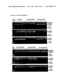 Modified Cpn10 and PRR signalling diagram and image