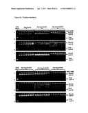 Modified Cpn10 and PRR signalling diagram and image