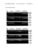 Modified Cpn10 and PRR signalling diagram and image