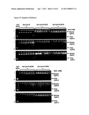 Modified Cpn10 and PRR signalling diagram and image