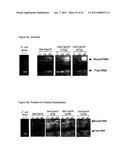 Modified Cpn10 and PRR signalling diagram and image