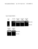 Modified Cpn10 and PRR signalling diagram and image