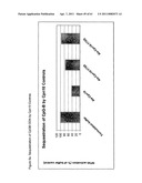 Modified Cpn10 and PRR signalling diagram and image