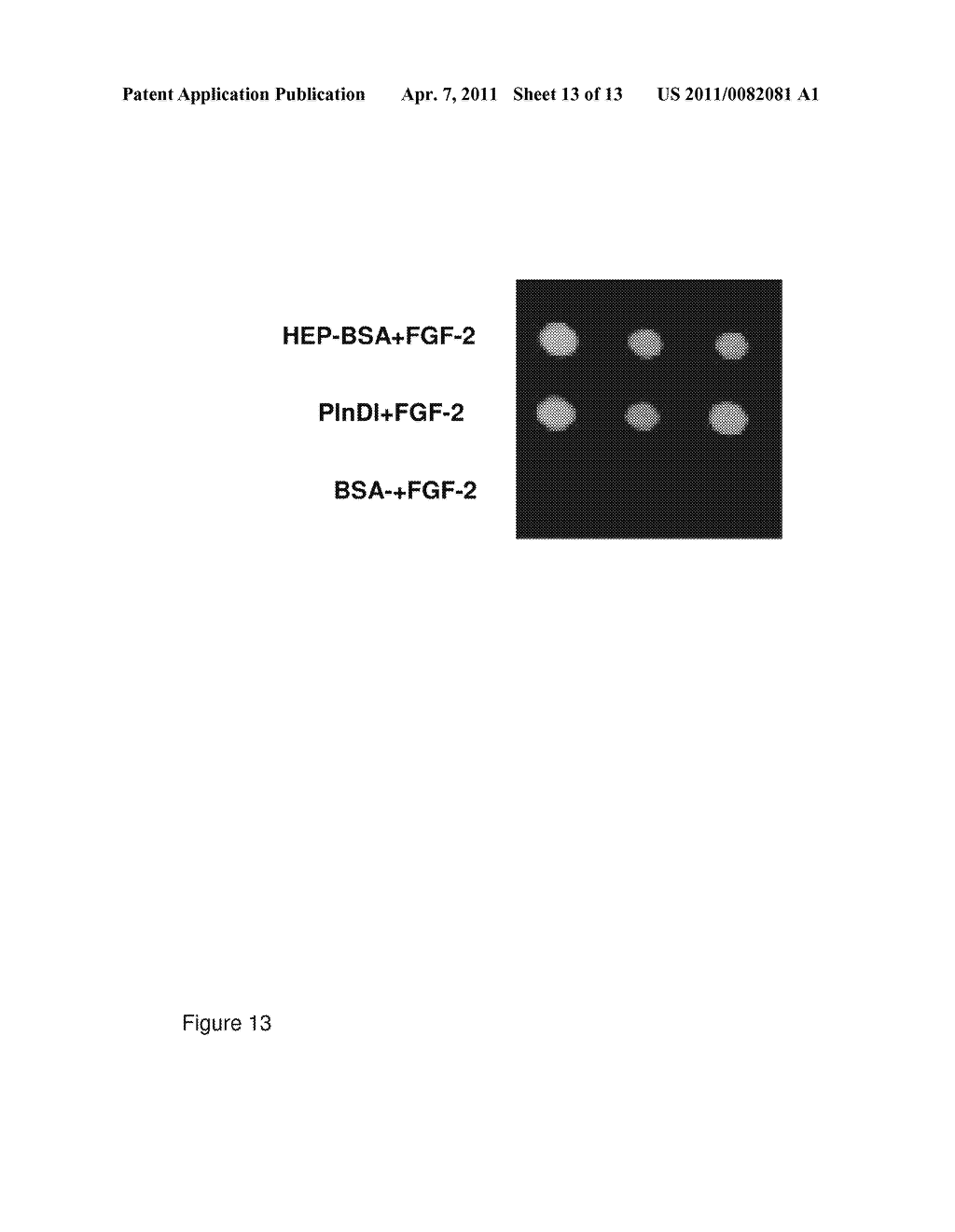 COMPOSITIONS AND METHODS FOR REPAIR OF TISSUES - diagram, schematic, and image 14