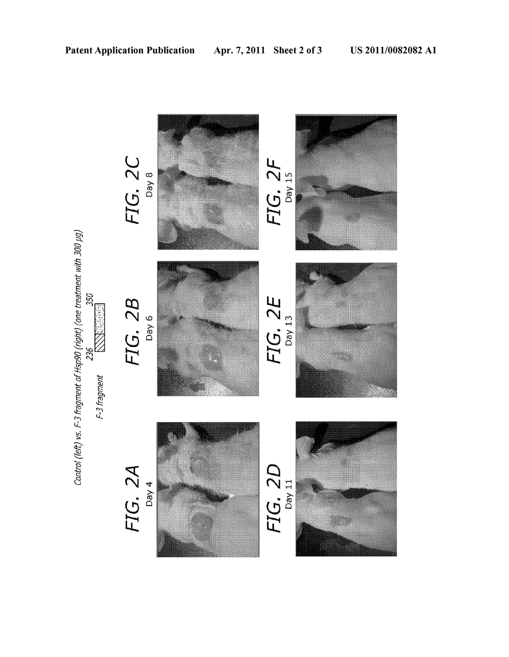 SKIN WOUND HEALING COMPOSITIONS AND METHODS OF USE THEREOF - diagram, schematic, and image 03