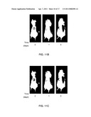 COMPOUNDS SUITED AS NANOCARRIERS FOR ACTIVE AGENTS AND THEIR USE diagram and image