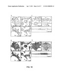 COMPOUNDS SUITED AS NANOCARRIERS FOR ACTIVE AGENTS AND THEIR USE diagram and image