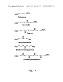 COMPOUNDS SUITED AS NANOCARRIERS FOR ACTIVE AGENTS AND THEIR USE diagram and image