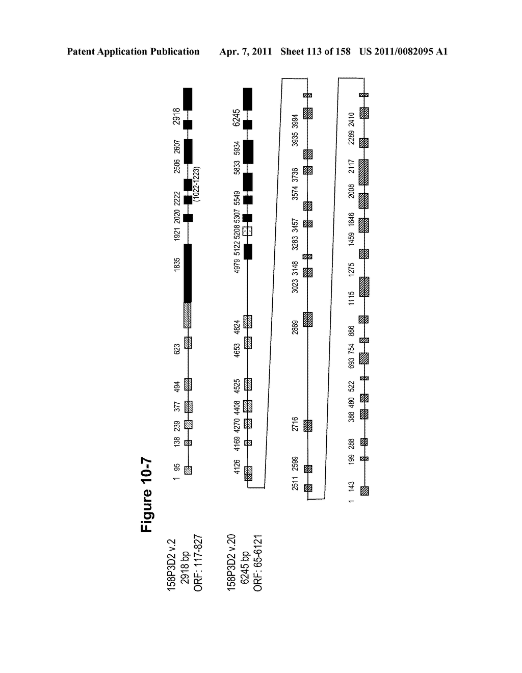 NUCLEIC ACIDS AND CORRESPONDING PROTEINS ENTITLED 158P3D2 USEFUL IN TREATMENT AND DETECTION OF CANCER - diagram, schematic, and image 114