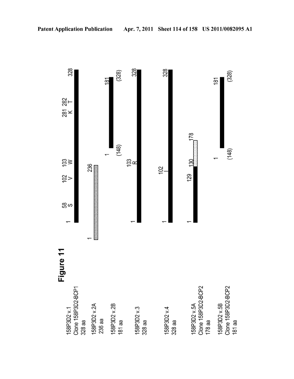 NUCLEIC ACIDS AND CORRESPONDING PROTEINS ENTITLED 158P3D2 USEFUL IN TREATMENT AND DETECTION OF CANCER - diagram, schematic, and image 115