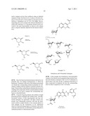 NOVOBIOCIN ANALOGUES AND TREATMENT OF POLYCYSTIC KIDNEY DISEASE diagram and image