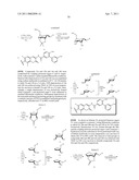 NOVOBIOCIN ANALOGUES AND TREATMENT OF POLYCYSTIC KIDNEY DISEASE diagram and image